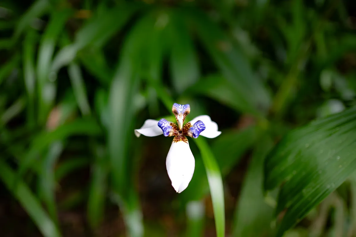 Costa Rica, 2025 — photo 4