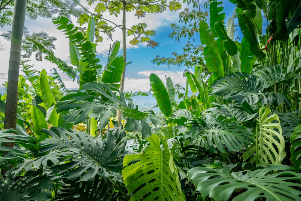 Costa Rica, 2025 — photo 5