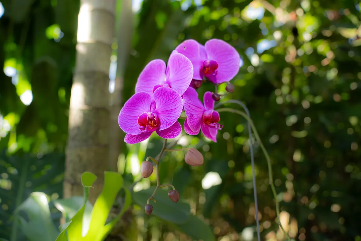 Costa Rica, 2025 — photo 6