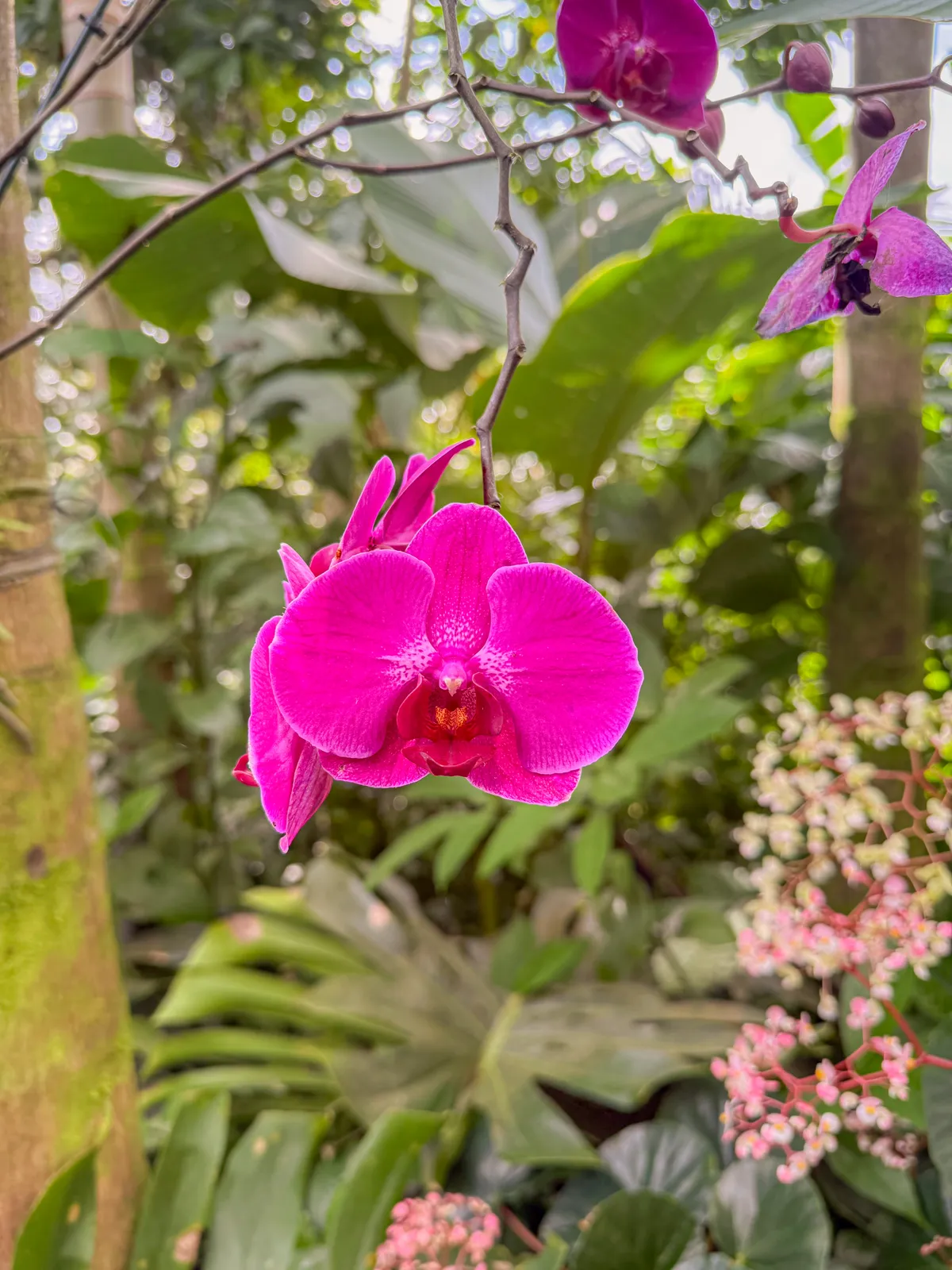 Costa Rica, 2025 — photo 8