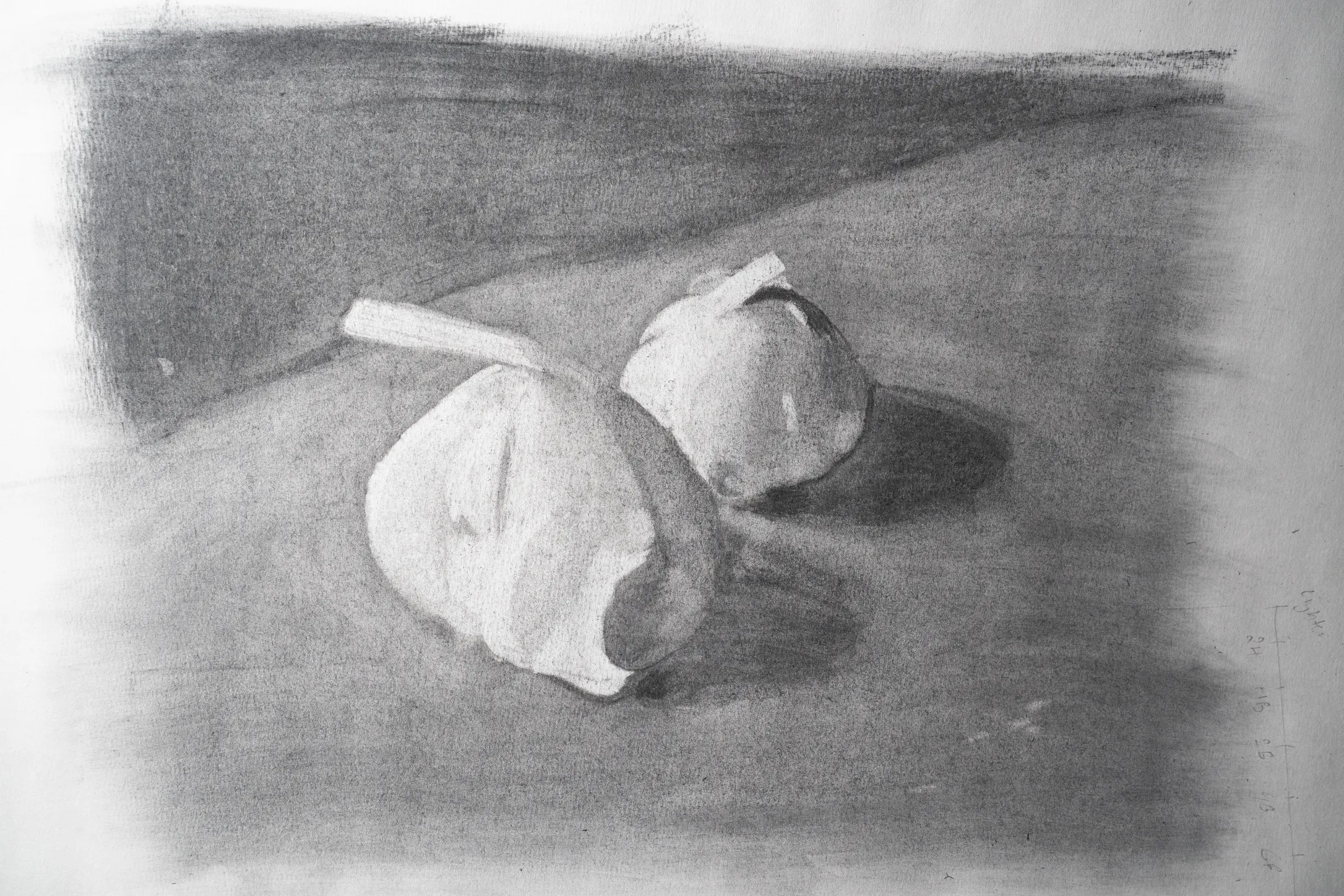 Charcoal value study